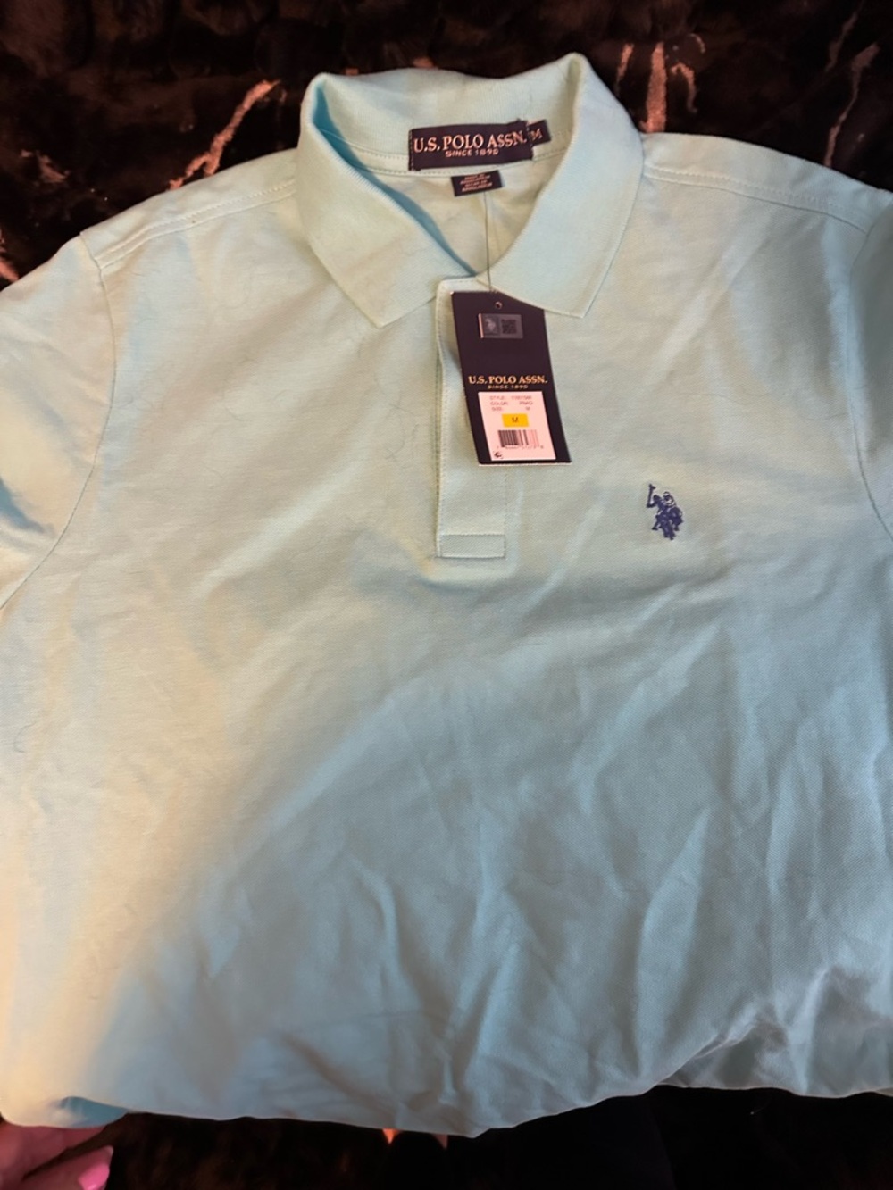 U.S. Polo Assn. Men's Mint Green Polo with Navy Logo